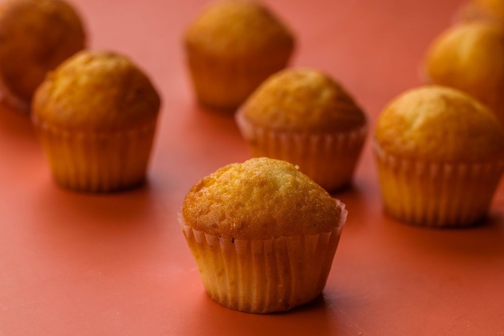 CUP CAKE MINI X10